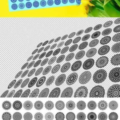 77 Mandala Vector Bundle