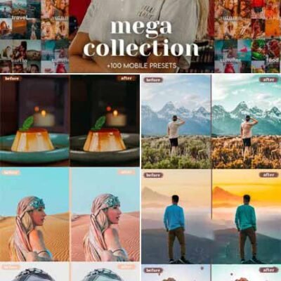 Bundle Lightroom Presets