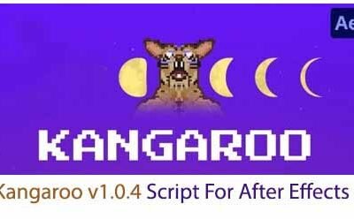 Goodboy Ninja Kangaroo 1.01 Script For After Effect