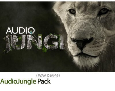 249 AudioJungle Pack