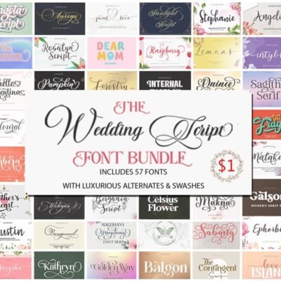 31 The Wedding Script Font Bundle