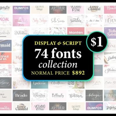 Display And Script Font Collection