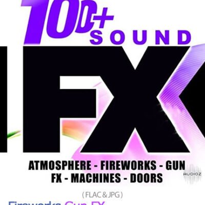 Fireworks Gun FX