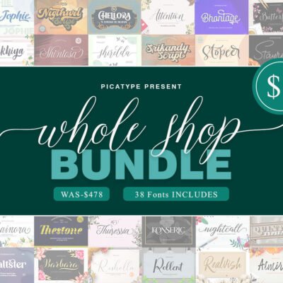 Whole Shop Bundle