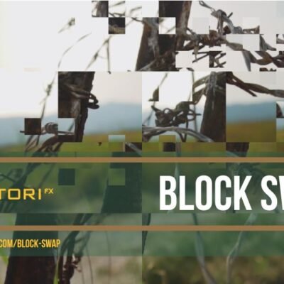 Block Swap v1.5.1