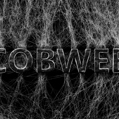 Cobweb for Blender