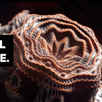 Fractal Machine for Blender