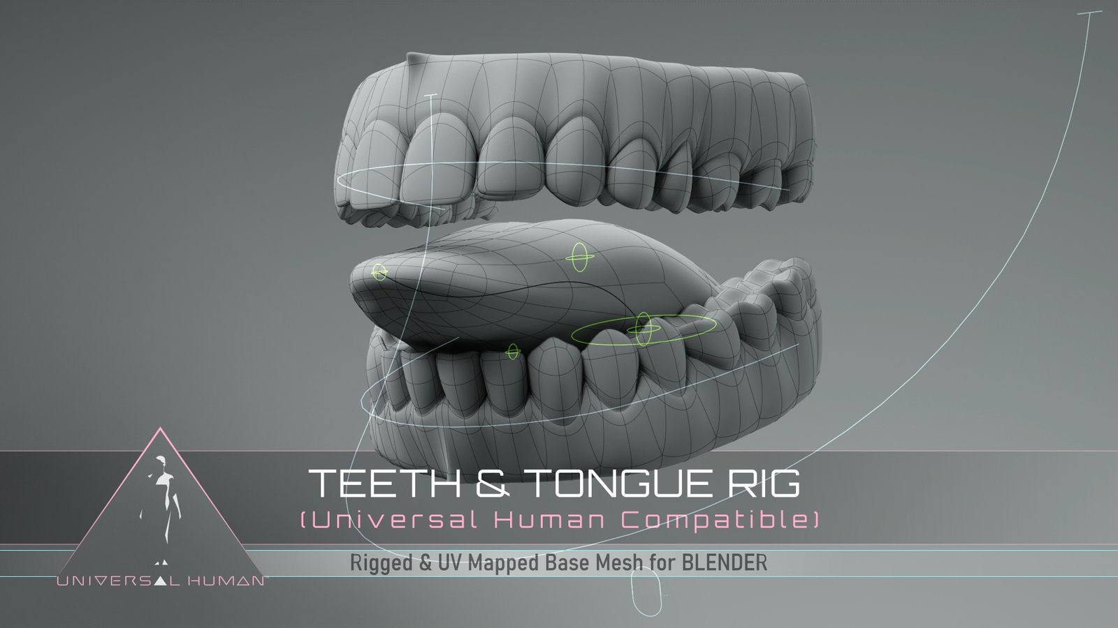 Universal Human Teeth Tongue Shader Universal Human Teeth Tongue Shader