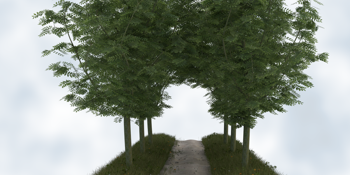 space tree pro for Blender space tree pro for Blender