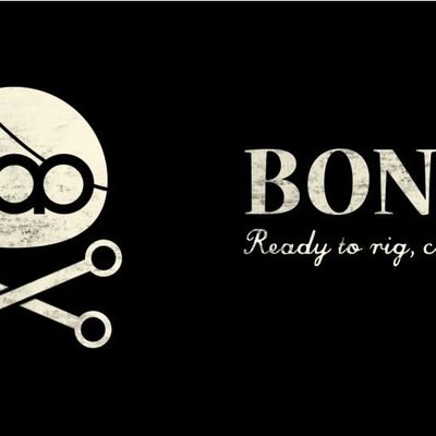 BAO Bones for After Effects