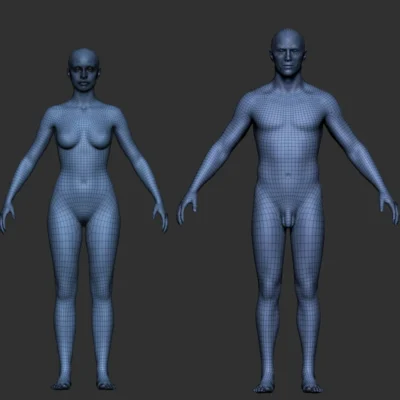 Pro Male and Female Basemesh 45K for Blender
