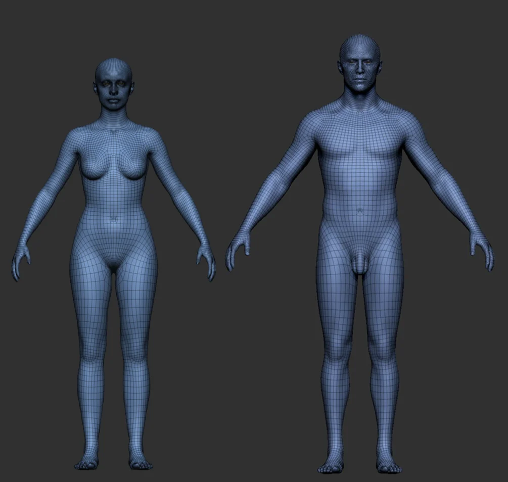 Pro Male and Female Basemesh 45K for Blender Pro Male and Female Basemesh 45K for Blender
